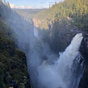 Meet your Posher, April